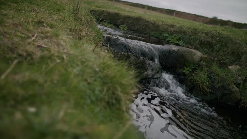 A flowing stream beside a grass field