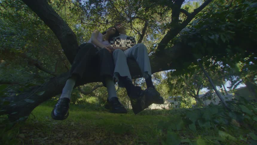 Two people sit on the branch together