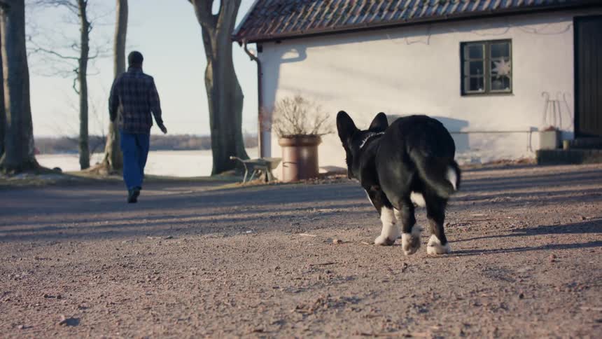 A clip of a black dog running after its owner