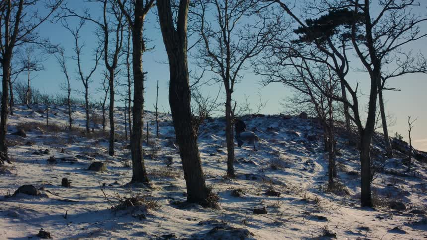 A clip of a man walking up the snowy woods