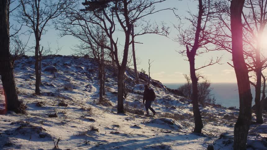 Backpacker moves under leafless trees on a snow covered hill during winter