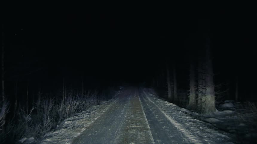 View of a vehicles headlight under a snowy nighttime dirt road in the middle of a forest
