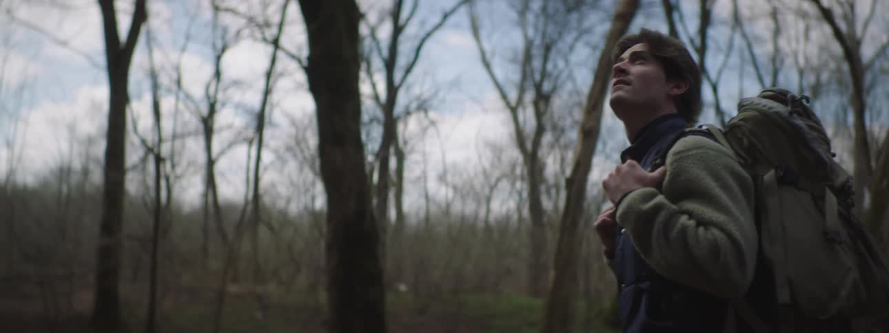 A man hiking outdoors in a forest