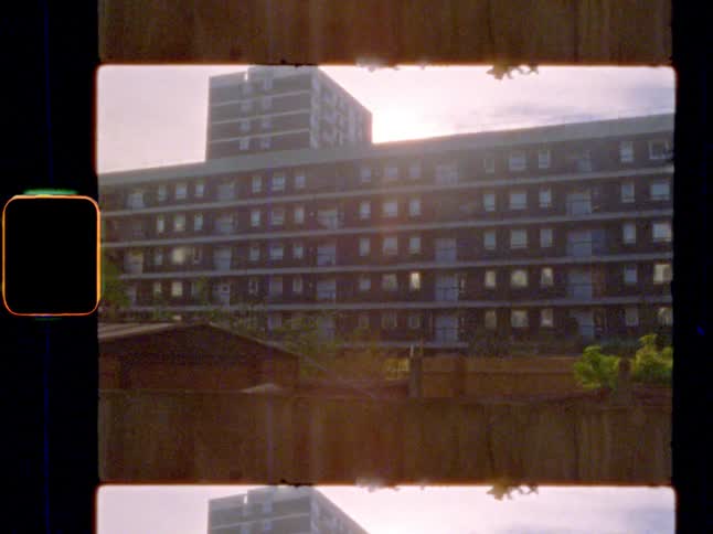 Gardens inside a council estate at sunset