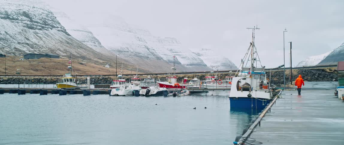 View of boats docked at the pier with a mountain range covered in snow in the background