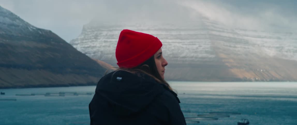 Woman wearing a red wool hat watches sea and distant snowy mountains