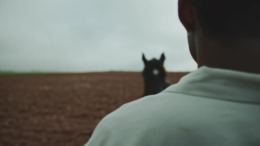 Black man stands outdoors facing  a wild horse and the horizon