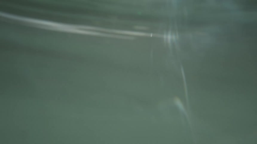 Light reflects underwater