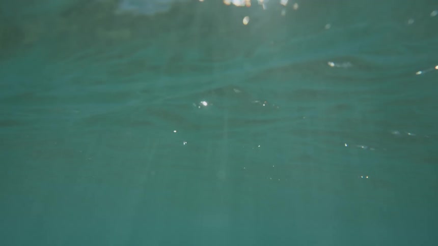 The sun shines on the body of water