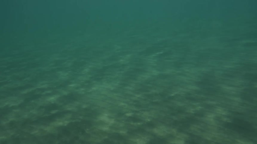 An underwater clip