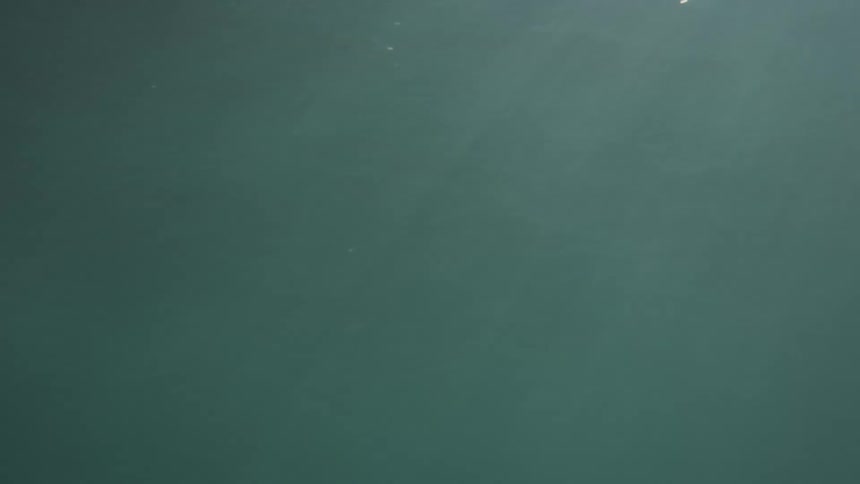 View from inside the sea with sunlight reflection