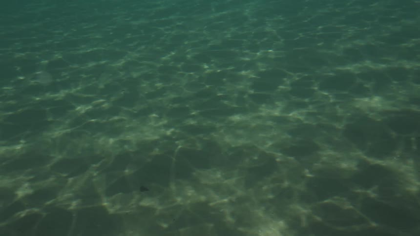 The surface of a wide open sea is shown up close with the sun reflecting off of it
