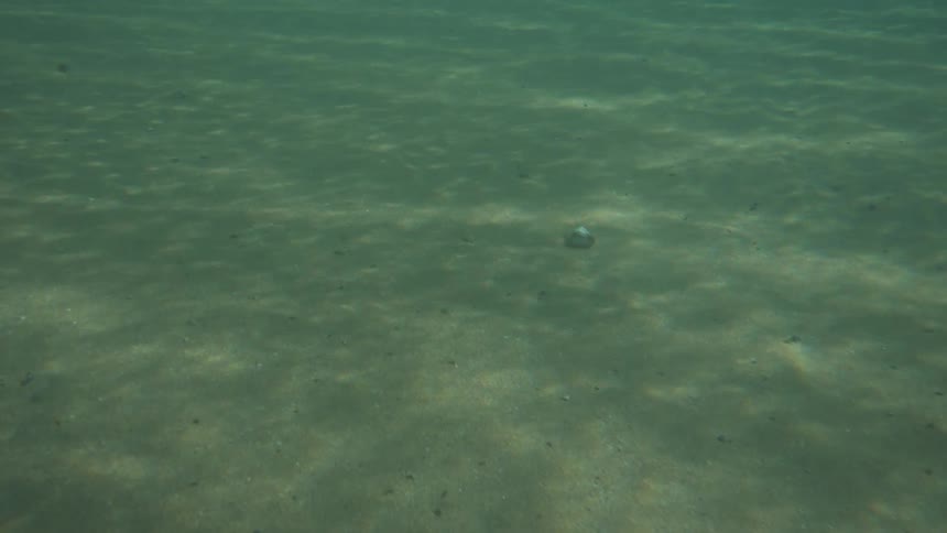 The bottom of the sea with crystal clear water on a sunny day