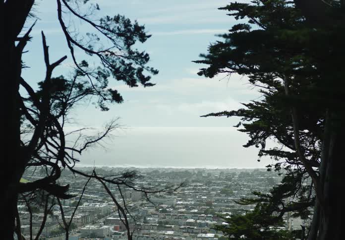 View of a forest with a panoramic cityscape in the background