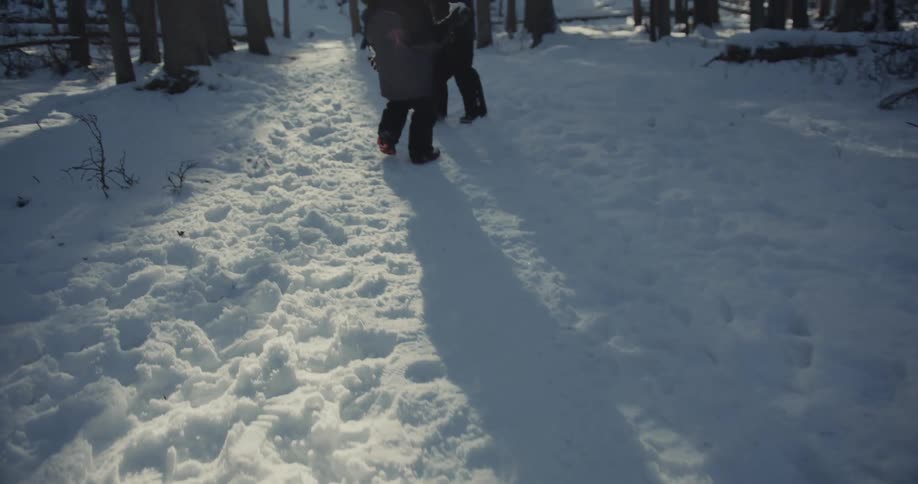 Children in the forest playing with snowballs