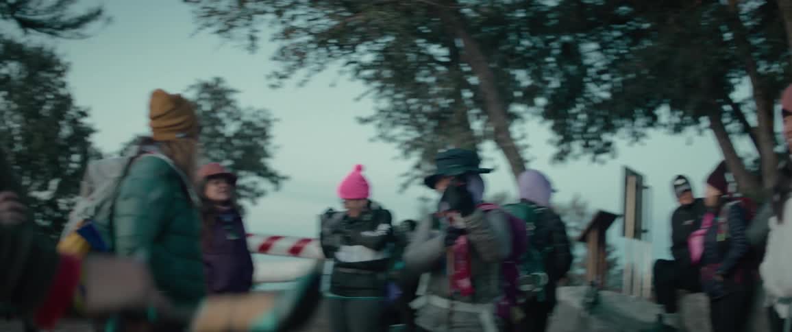 A group of cross country hikers are standing together in a grove of trees
