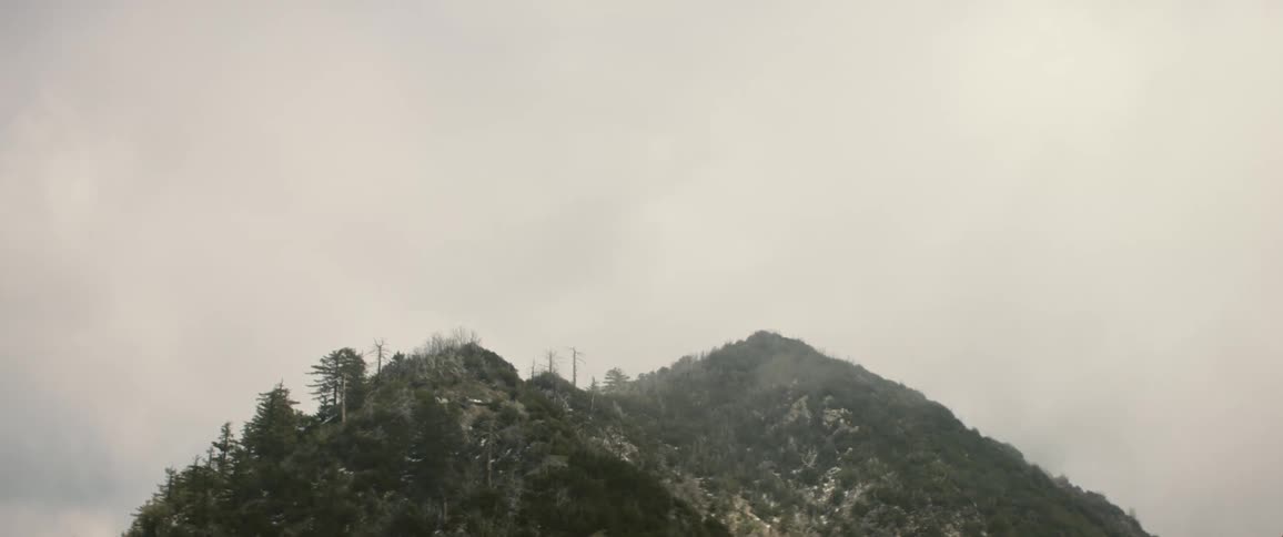 Fog covers top of forested mountain on an overcast day
