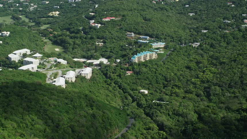 A suburban town within a forest area