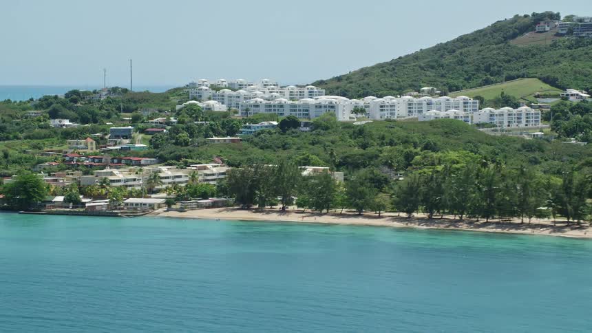 Beachfront community trees and shoreline on cloudless day