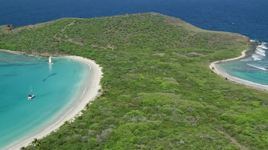 Aerial view of coastal area covered in vegetation and surrounded by beaches during day time