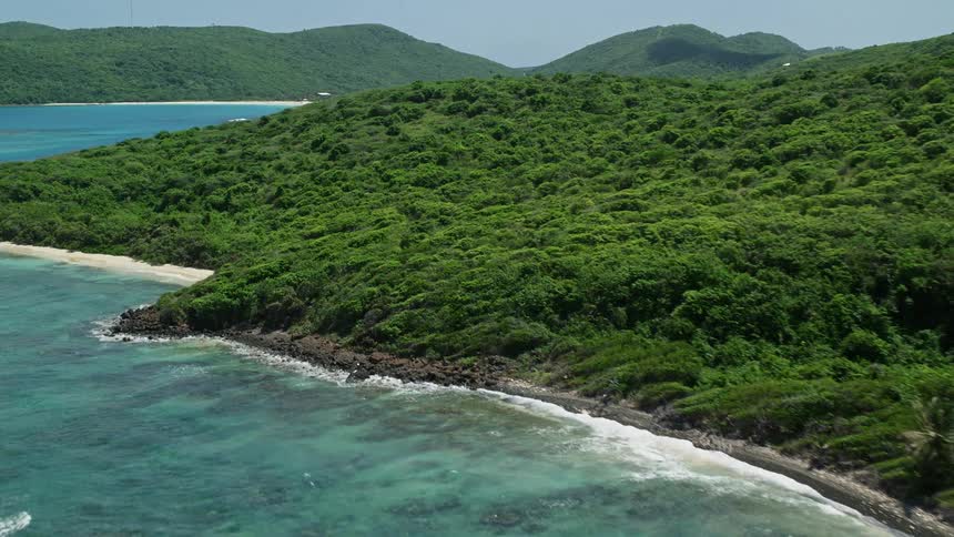 Waves roll toward beach bordering forested terrain