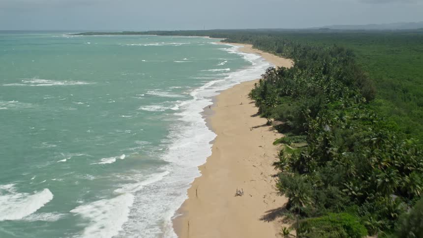 Aerial view of coastline ocean on left jungle on right