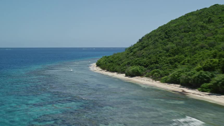 A piece of land with a forest with trees with green leaves facing the sea with small waves and a remote building in the middle of the forest