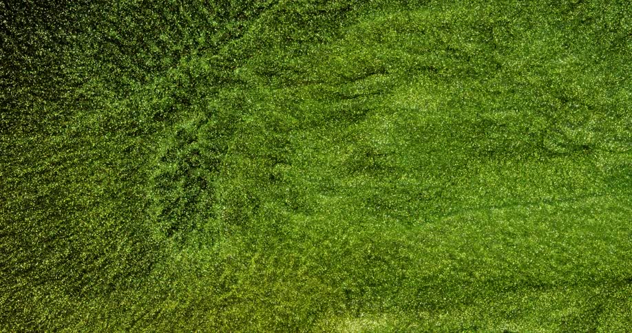 A view of a green field with items moving across it