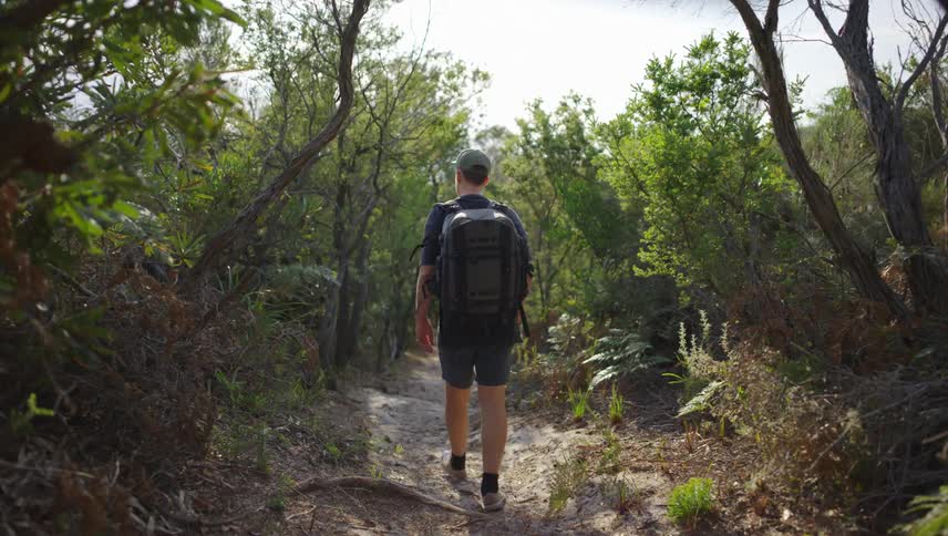 A man is hiking through the forest