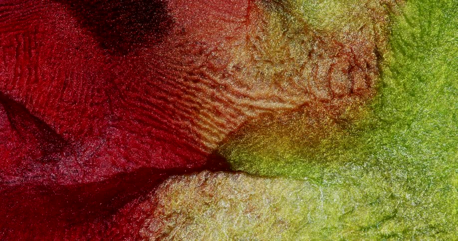 Colorful fluid art with soft waves