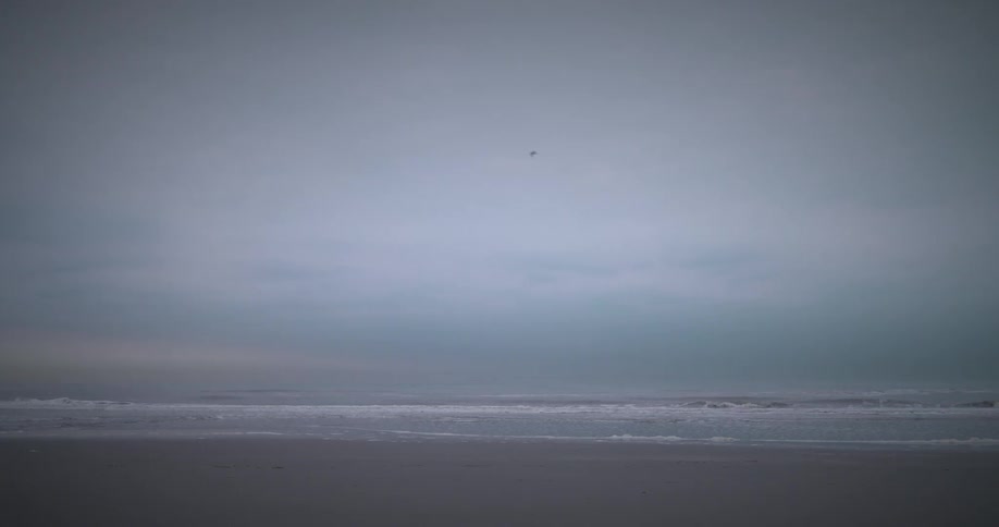 Waves roll onto beach while bird flies through overcast sky