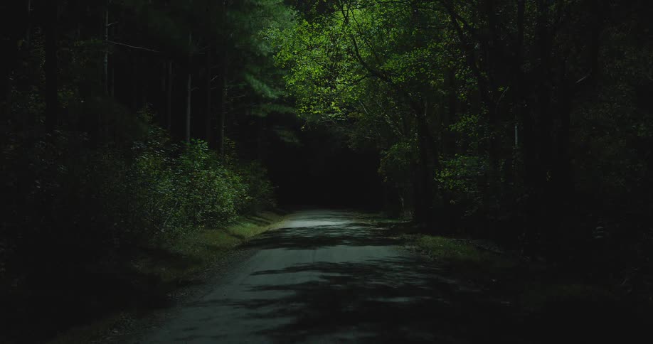 Dirt road stretching into dark woods at night search helicopter light