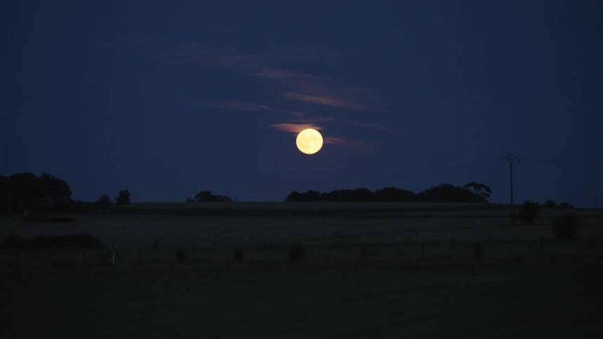 A dark blue sky with a bright full moon and a field below