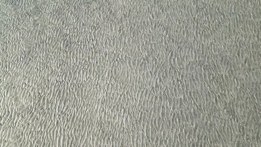 Waves roll onto pale beach dotted with vegetation