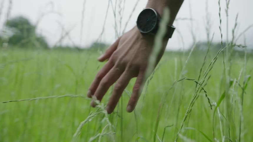 A hand of a person with a clock that is passing over tall grass while walking