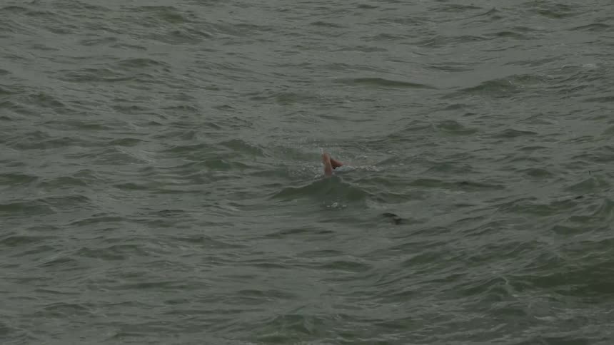 Woman swimming in the midst of the sea with waves
