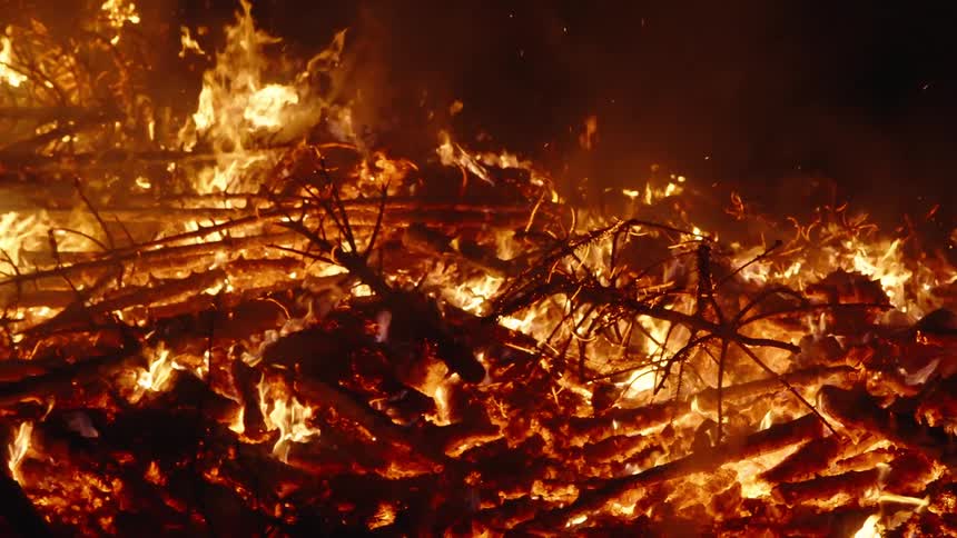 Trees consumed in flames