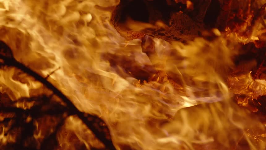 A close up of flames and embers on a campfire