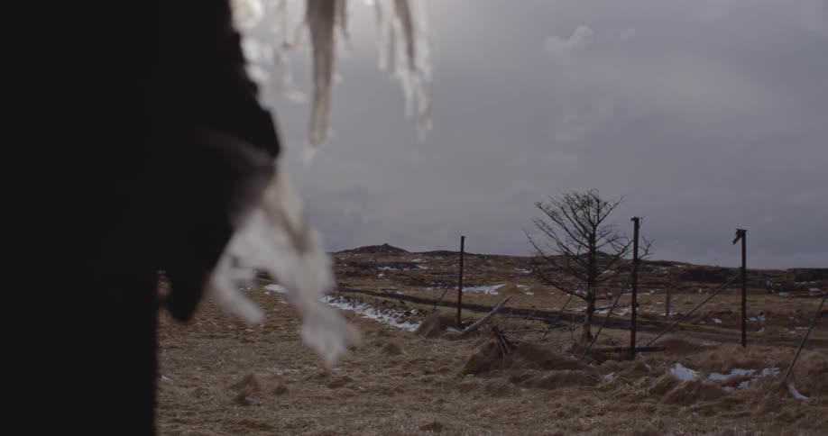 A barren field lays ahead on a windy day