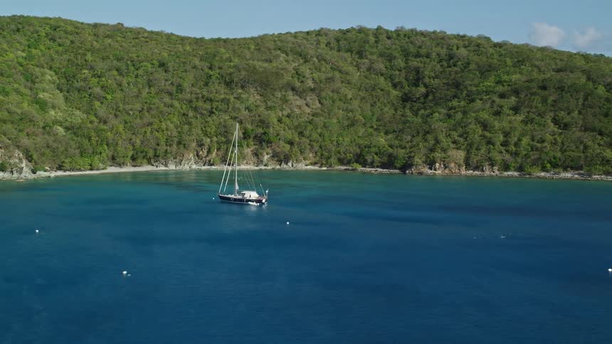 A white boat stopped in a bay of blue water and on the shore there is a forest of trees