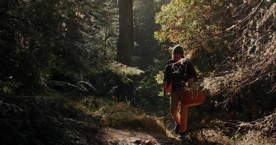 Man walking through a forest carrying a basket