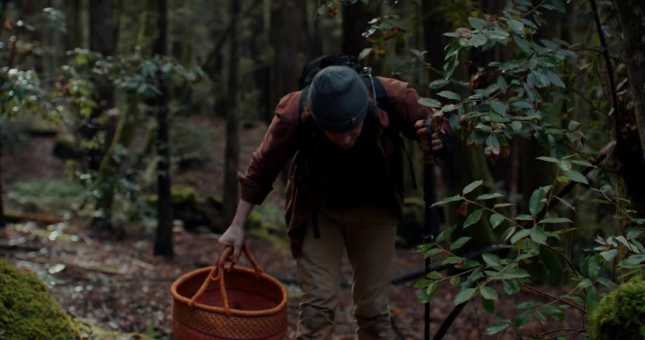 A man picking mushrooms in the forest on a cold day