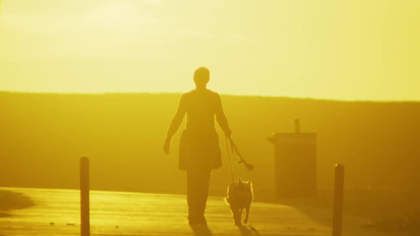 Woman silhouetted against bright sun at sunset walks her dog