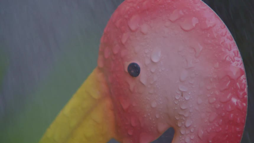 Rain falls on a pink yard ornament
