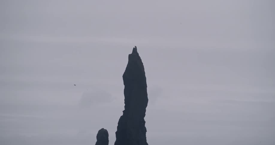 A bird flies in the sky on an overcast day