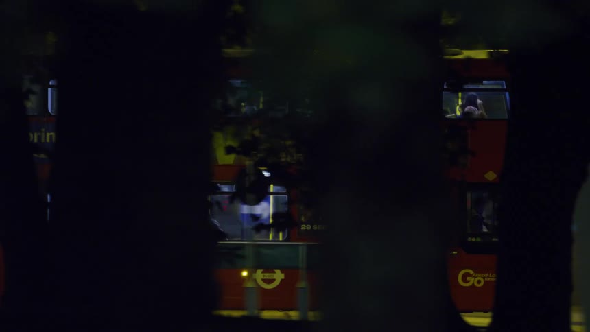 Red double decker bus seen through trees at night