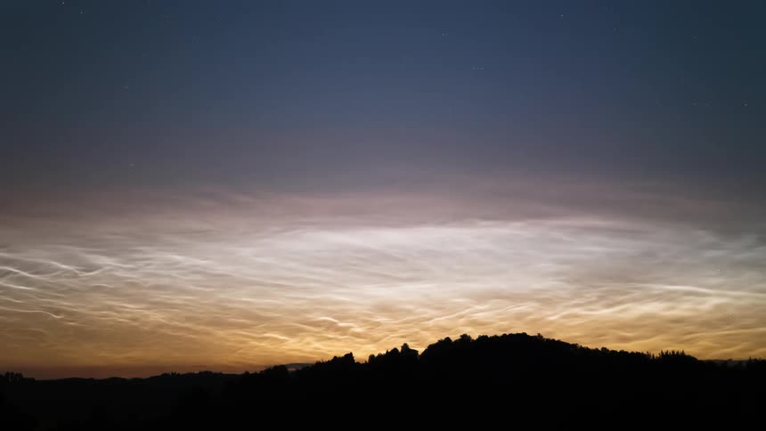 Silhouette of trees with Strong Noctilucent Clouds (NLC's) in the sky