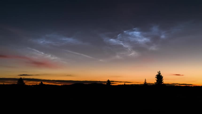 silhuettes of trees with destinct Noctilucent Clouds (NLC's) in the sky