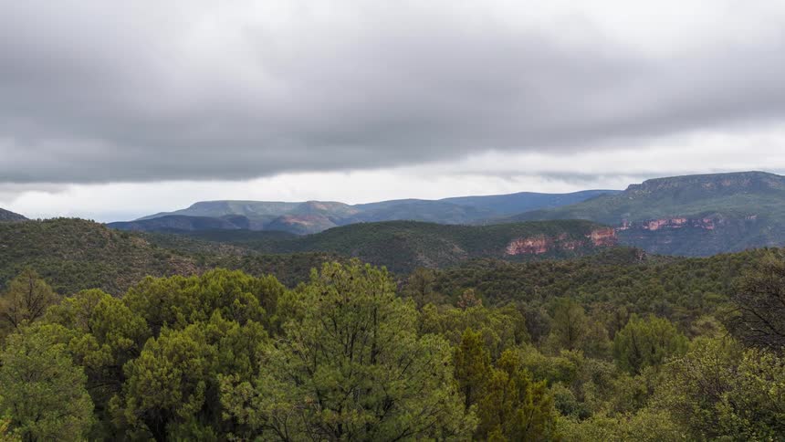 A large forest sits close to a mountain range