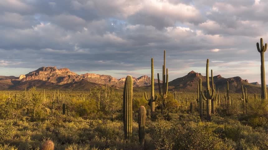 Panoramic view of desert vegetation with cacti mountain ranges on the horizon and clouds passing by in timelapse